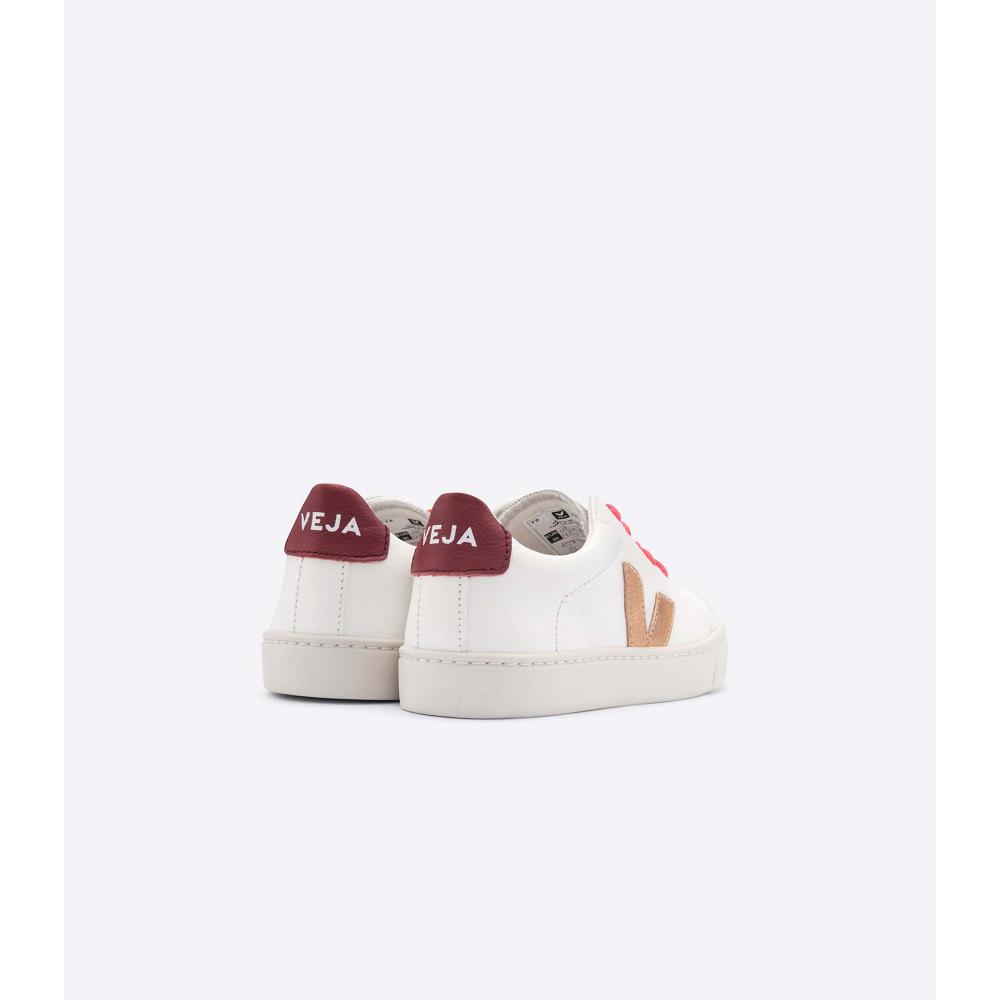 Veja ESPLAR LEATHER Kids' Sneakers Gold/Red/White | CA 810OKI